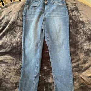 1822 Denim Light Blue Skinny Jeans